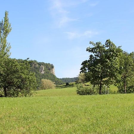 Domaine De Bellevue Gite Du Mont Poupet Marnoz Екстериор снимка