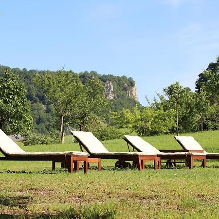 Domaine De Bellevue Gite Du Mont Poupet Marnoz Екстериор снимка