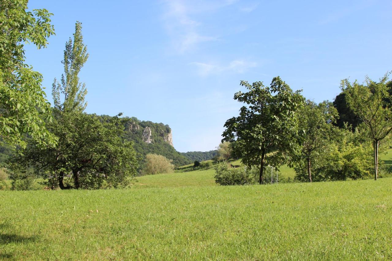 Domaine De Bellevue Gite Du Mont Poupet Marnoz Екстериор снимка