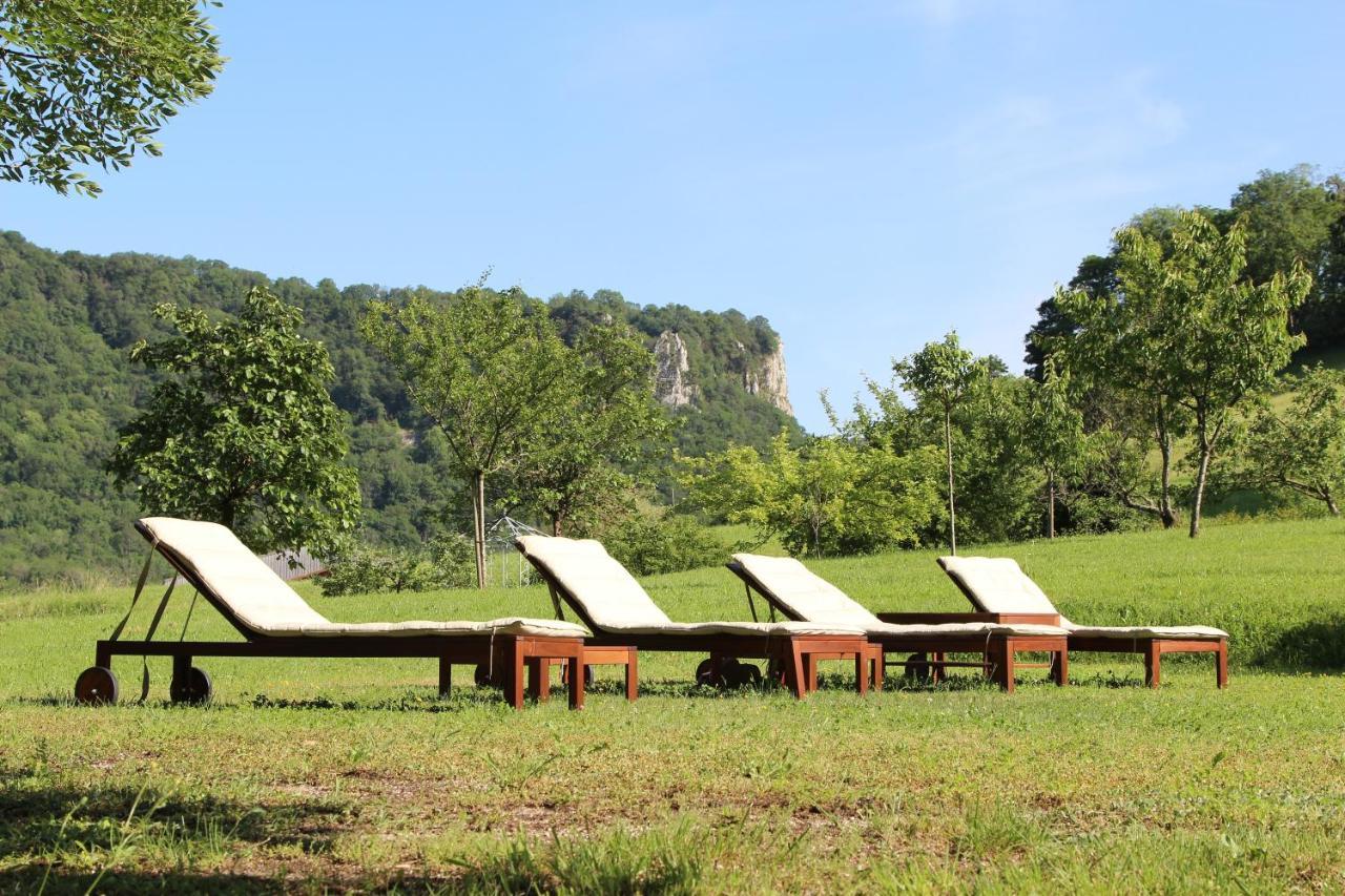 Domaine De Bellevue Gite Du Mont Poupet Marnoz Екстериор снимка